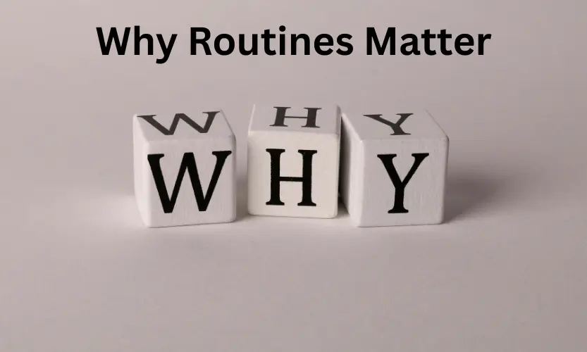 why routines matter